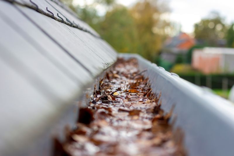 Commercial Downspout Cleaning in Denver County, CO