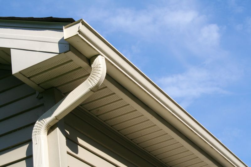 Downspout Snaking in Long Island, NY