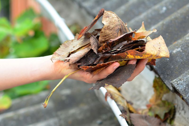 Gutter Leaves Removal in Morris County, NJ