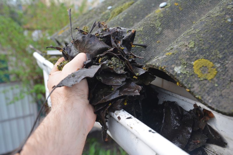 Roof Gutter Cleaning in Frederick, MD