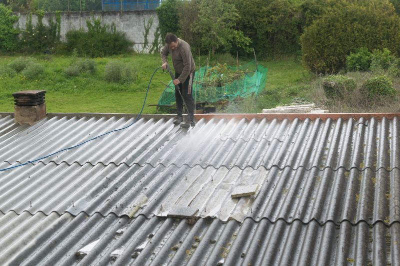 Roof Soft Washing in Vancouver, WA